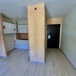 Rent 1 bedroom apartment of 28 m² in Espalion