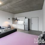Rent 1 bedroom apartment of 44 m² in Prague