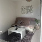 Rent 1 bedroom apartment of 28 m² in Saint-Laurent-du-Var