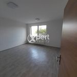 Rent 1 bedroom apartment of 500 m² in Zichovec