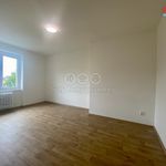 Rent 3 bedroom apartment of 53 m² in Prostějov