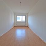 Rent 3 bedroom apartment in Pieterlen
