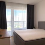 Rent 3 bedroom apartment of 85 m² in Staré Město