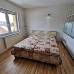 Rent 2 bedroom apartment of 86 m² in Ústí nad Orlicí