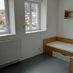 Appartement de 21 m² avec 1 chambre(s) en location à Oyonnax