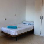 Alquilar 9 dormitorio apartamento en Sevilla