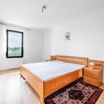 Pronajměte si 2 ložnic/e byt o rozloze 57 m² v Praha
