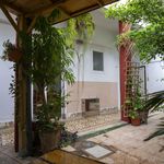 Rent 2 bedroom apartment of 95 m² in Santa Cruz de Tenerife