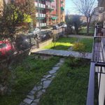 Affitto 4 camera appartamento di 100 m² in Pavia