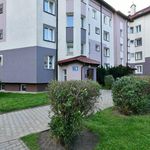 Rent 3 bedroom apartment of 62 m² in Olsztyn