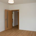 Rent 4 bedroom apartment of 79 m² in Děčín