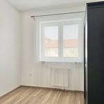 Rent 3 bedroom apartment of 63 m² in Číhošť