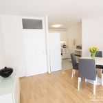 Rent 2 bedroom apartment of 61 m² in Bornheim