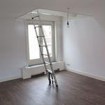 Huur 2 slaapkamer appartement van 55 m² in Delft