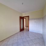 Affitto 2 camera appartamento di 105 m² in Catanzaro