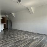Rent 1 bedroom apartment of 28 m² in Orthez