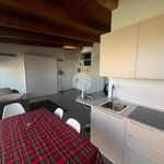 Rent 1 bedroom apartment of 28 m² in Bagnolo Piemonte