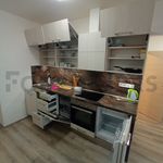 Rent 1 bedroom apartment of 61 m² in Brno