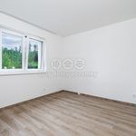 Rent 1 bedroom house of 76 m² in Jihlava