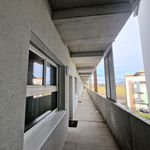 Rent 2 bedroom apartment of 40 m² in Premstätten