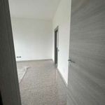 Affitto 3 camera appartamento di 119 m² in Casoria