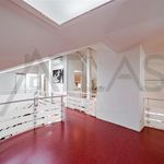 Rent 5 bedroom apartment of 311 m² in Praha