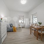 Rent 1 bedroom apartment of 26 m² in Rokytnice nad Jizerou
