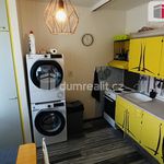 Rent 1 bedroom apartment of 30 m² in Mikulov