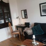 Rent 2 bedroom apartment of 30 m² in Schwerin