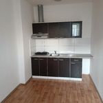 Rent 1 bedroom apartment of 21 m² in Ústí nad Labem
