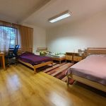 Wynajmij 1 sypialnię dom z 180 m² w Łódź