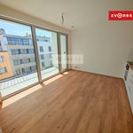 Rent 2 bedroom apartment of 45 m² in Zlín