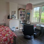 Rent 3 bedroom house in Leuven