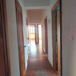 Rent 6 bedroom apartment of 248 m² in Catania