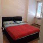 Rent 3 bedroom apartment of 72 m² in Frosinone