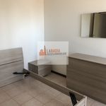 Rent 1 bedroom apartment of 70 m² in Badia Polesine
