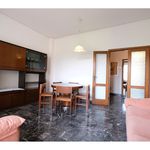 Affitto 4 camera appartamento di 89 m² in Firenze