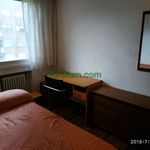 Rent 3 bedroom apartment of 93 m² in Bilbao