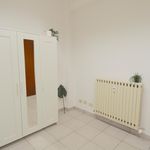 Affitto 3 camera appartamento in Modena