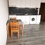 Rent 1 bedroom apartment of 31 m² in Pilsen