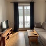 Rent 1 bedroom apartment of 65 m² in Plzeň