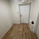 Rent 1 bedroom apartment of 47 m² in České Budějovice