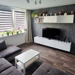 Rent 4 bedroom apartment in Olomouc