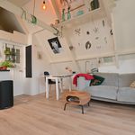 Rent 2 bedroom apartment of 45 m² in Groningen