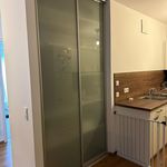 Rent 3 bedroom apartment of 83 m² in Nuremberg