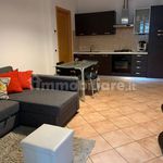 Rent 2 bedroom apartment of 50 m² in Trevignano