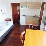 Rent 1 bedroom apartment of 34 m² in Plzeň