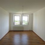 Rent 4 bedroom apartment of 80 m² in Meißen