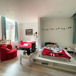 Louez une chambre de 33 m² à Tournai