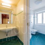 Rent 1 bedroom apartment of 300 m² in Prague
